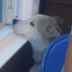 Meet your Posher, Rachael